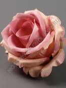 Роза Кружевная  сатин 6сл 7см (мол бор гол перс роз-крем пеп-сир)