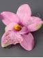 Орхидея хлопок 11см (1сир. 2бел. 3св-роз. 4лим. 5роз-сир. 6мал-пер. 7перс) 