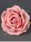 Роза с пенопластом 7 см(роз)