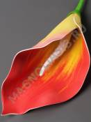 Калла латексная Экзотик без пестика 16см.(бел крас син сир свек зел) (пестик см. 2270)