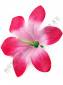 Малая лилия шелковая  14см (Бел, Желт, Кр, Роз, Син, Сир) (без пестика см. 2201)
