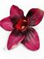 Орхидея хлопок 18 см (бел-зел фиол  вишня красн молоч пепел розы)