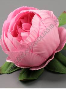 Пион шаровидный Тайфун 8сл 10см (бел сир роз перс борд микс)