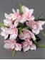 Букет диких орхидей 9 групп 48см (бел св-роз роз перс)