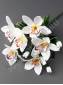 Букет орхидей с бутонами 6гр 33см (микс)