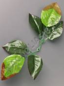 Лист розы шестерной для стандартной ножки шелк 23см